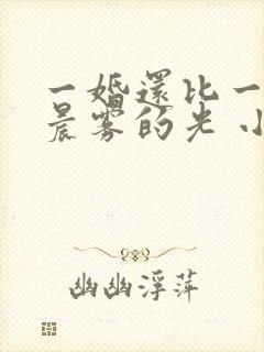 一婚还比一婚高晨雾的光 小说