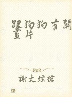 跟狗狗有关的动画片
