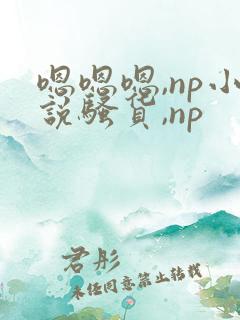 嗯嗯嗯,np小说骚货,np