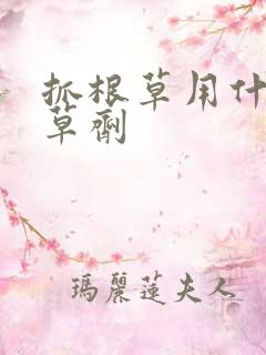 抓根草用什么除草剂