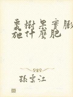 枣树果实膨大期施什么肥 枣树果实膨大期施什么肥