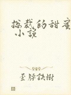 总裁的甜蜜宠妻 小说