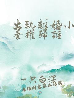 出轨离婚小孩抚养权归谁