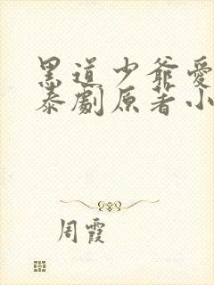 黑道少爷爱上我泰剧原著小说