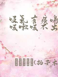 吸气有痰鸣音,咳嗽咳不出痰
