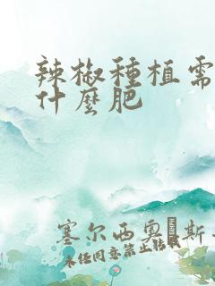 辣椒种植需要施什么肥