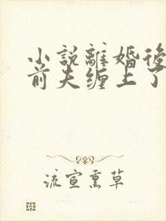 小说离婚后我被前夫缠上了