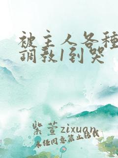 被主人各种姿势调教1到哭