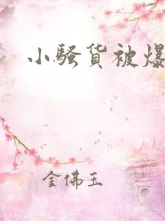 小骚货被爆操