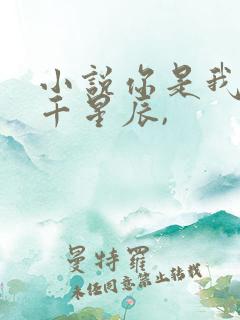 小说你是我的万千星辰,