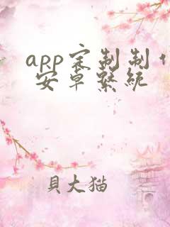 app定制制作 安卓系统