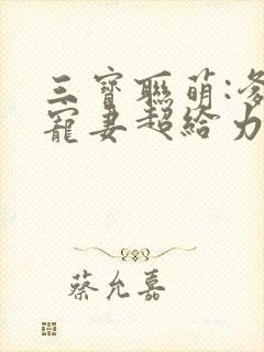 三宝联萌:爹地宠妻超给力