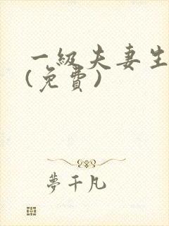 一级夫妻生活片(免费)
