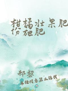 柑橘壮果肥几月份施肥