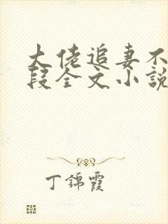 大佬追妻不择手段全文小说阅读全文