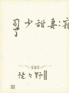司少甜妻:宠定了