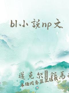 bl小说np文 bl小说np文