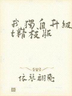 我独自升级txt精校版