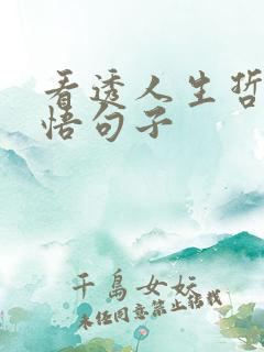 看透人生哲理感悟句子