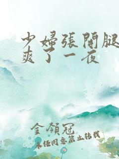 少妇张开腿让我爽了一夜