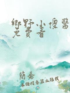 乡野小傻医小说免费看