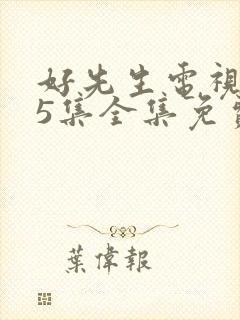 好先生电视剧45集全集免费