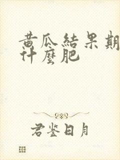黄瓜结果期间施什么肥