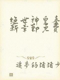 绝世神皇秦轩最新章节免费
