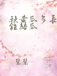 秋黄瓜多长时间能结瓜