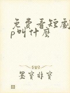 免费看短剧app叫什么 免费看短剧app叫什么