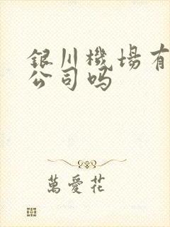 银川机场有租车公司吗