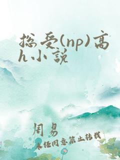 总受(np)高h小说