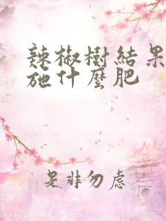 辣椒树结果期间施什么肥