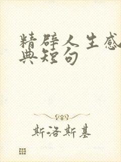 精辟人生感悟经典短句