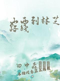 山西到林芝最佳路线