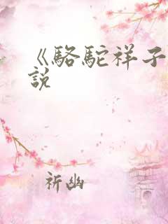 《骆驼祥子》小说