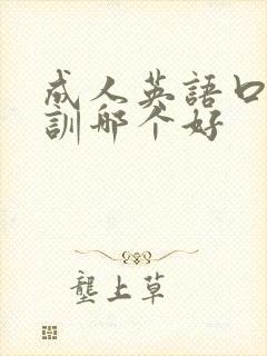 成人英语口语培训哪个好