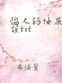 恼人的他原著小说txt