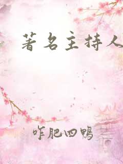 著名主持人女