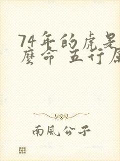 74年的虎是什么命 五行属性