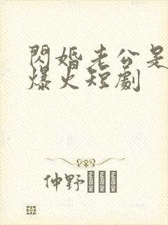 闪婚老公是总裁爆火短剧