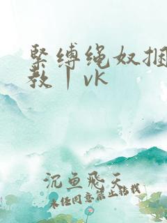 紧缚绳奴捆绑调教丨vk