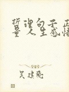 哲理句子 正能量 人生感悟 现实