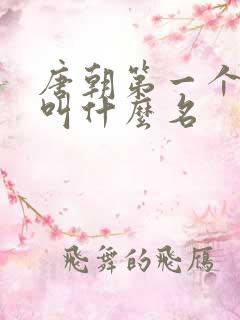 唐朝第一个皇上叫什么名