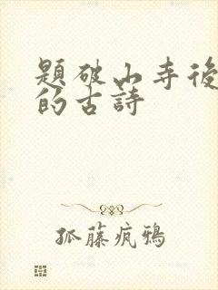 题破山寺后禅院的古诗