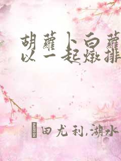 胡萝卜白萝卜可以一起炖排骨吗