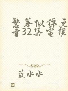 繁华似锦免费观看32集电视剧中文版