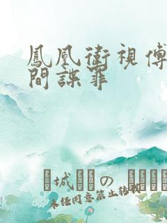 凤凰卫视傅晓甜间谍罪