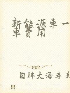 新能源车一年养车费用