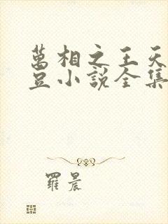 万相之王天蚕土豆小说全集免费阅读